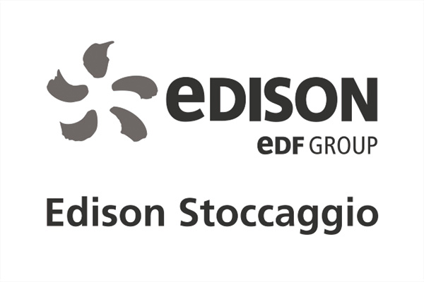 Edison EDF Group
